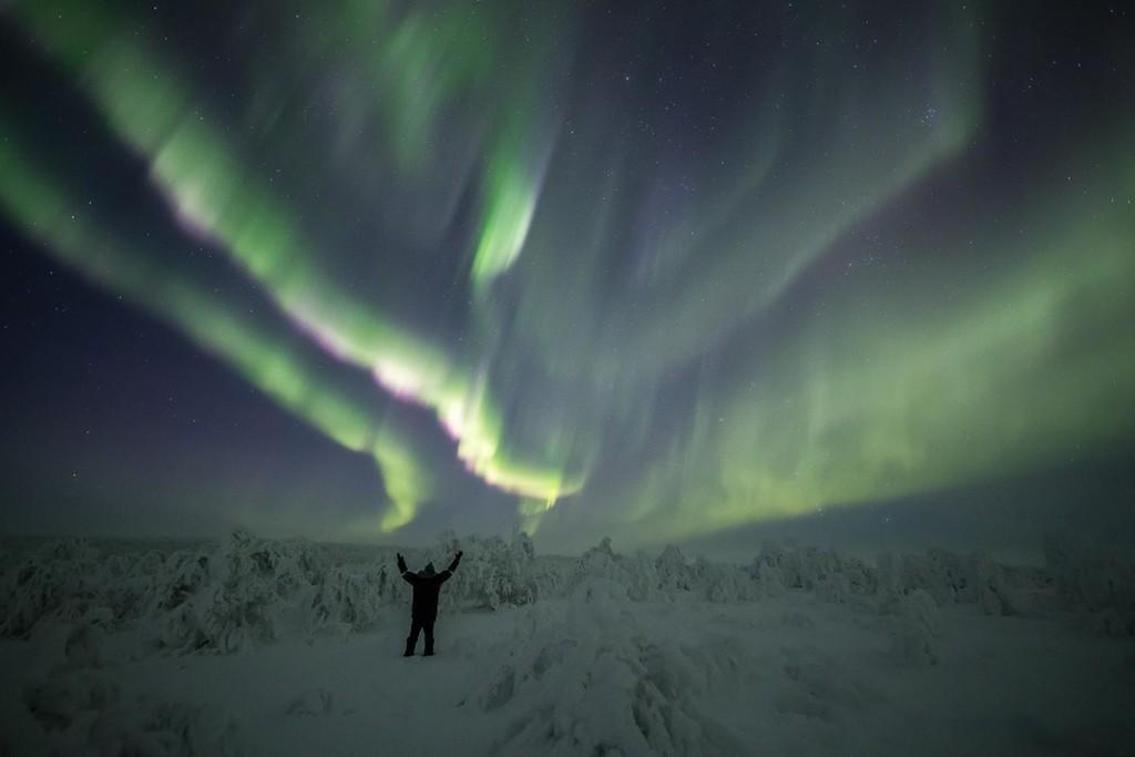 Northern Lights - aurora hunting in Lapland North