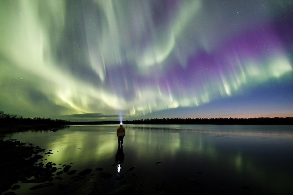 Revontulet - reposia metsästämässä - Lapland North