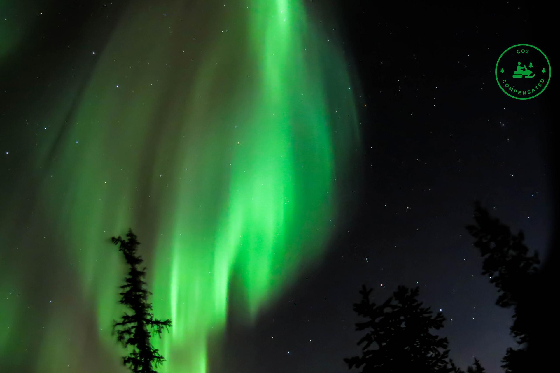 REVONTULISAFARI, Saariselkä - Lapland North