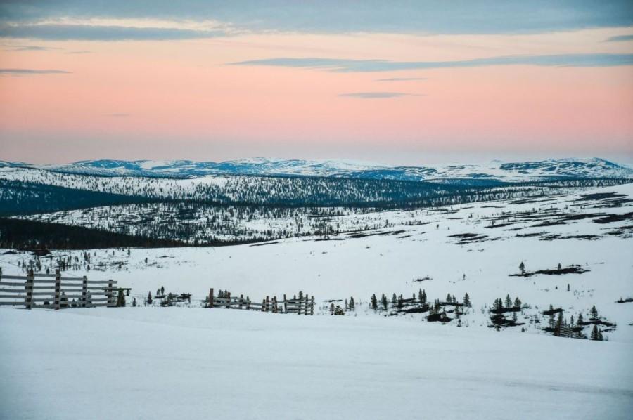 Kesälaskettelu Saariselällä - Lapland North