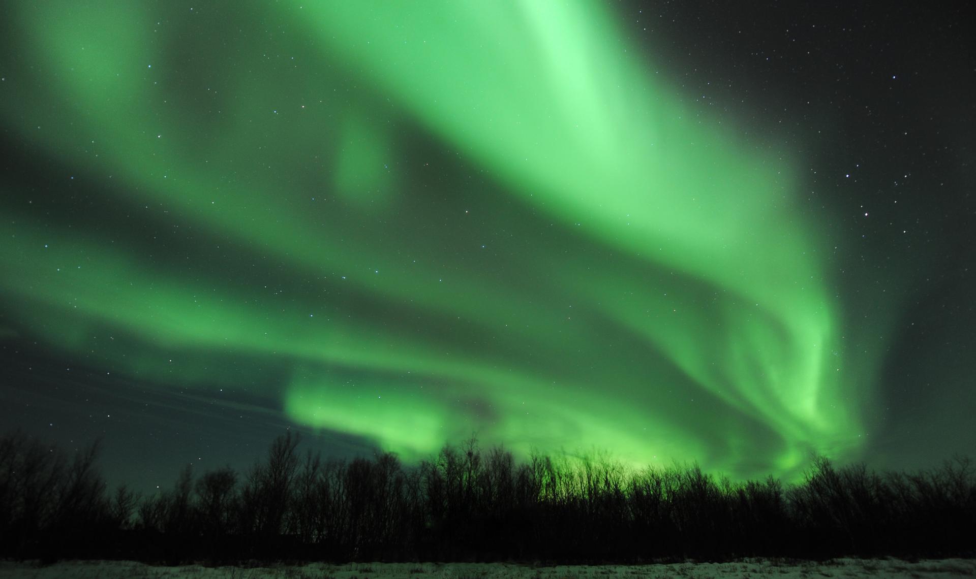 SEARCH OF THE NORTHERN LIGHTS BY BUS, Saariselkä (Autumn) - Lapland North