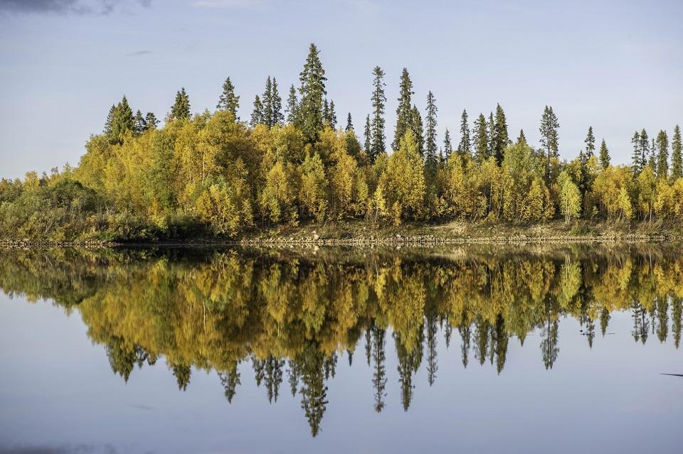 Ruska ja syksy Lapissa - Lapland North