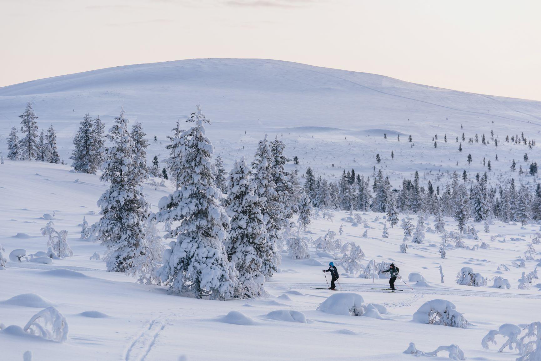 XXXIX Vaskoolihiihto - Lapland North