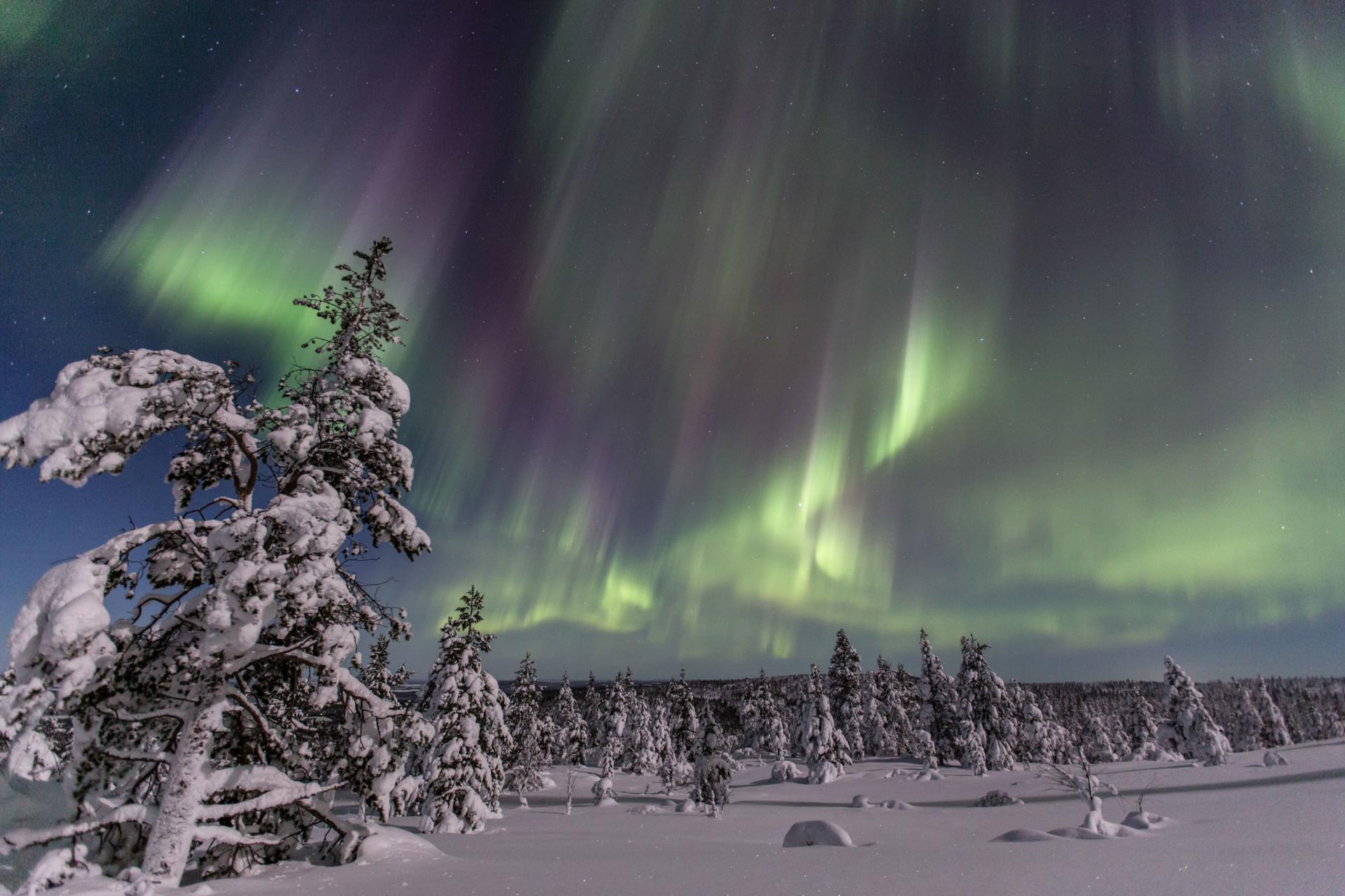 Lapland North | Revontuliretket