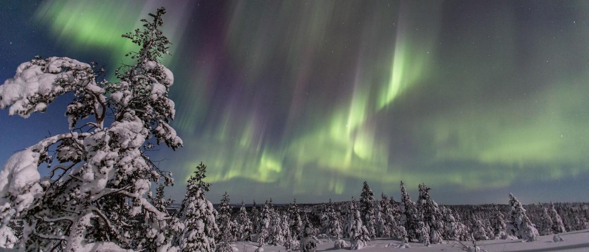 Experience the best Northern Lights in Finland - Lapland North
