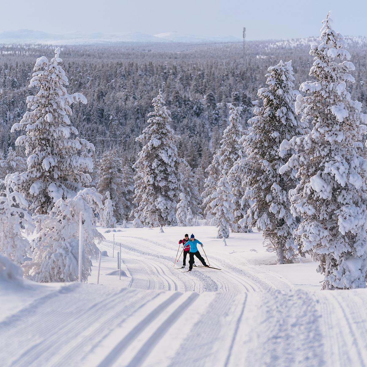 XXXVIII Vaskoolihiihto - Lapland North