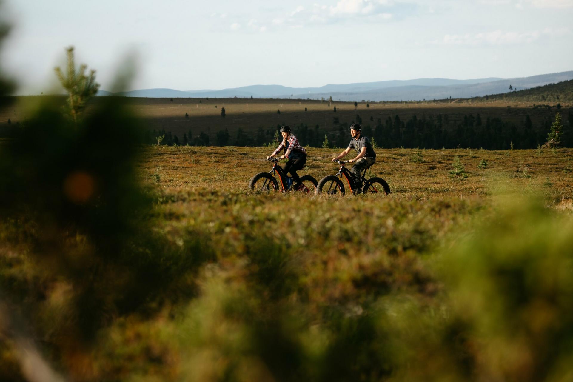 Lapland North | Autumn