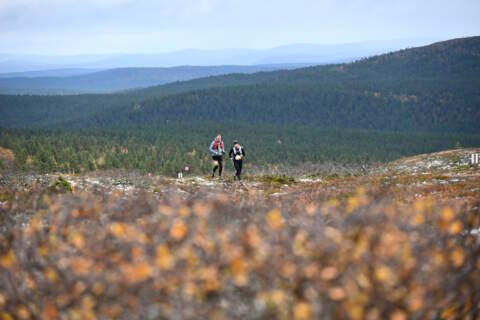 Arctic Trail Run