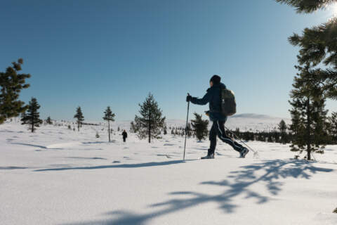 Back Country Skiing Weeks of Kiilopää