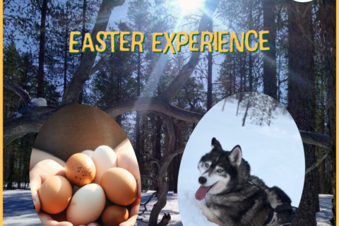 Easter Experience at Ilonka