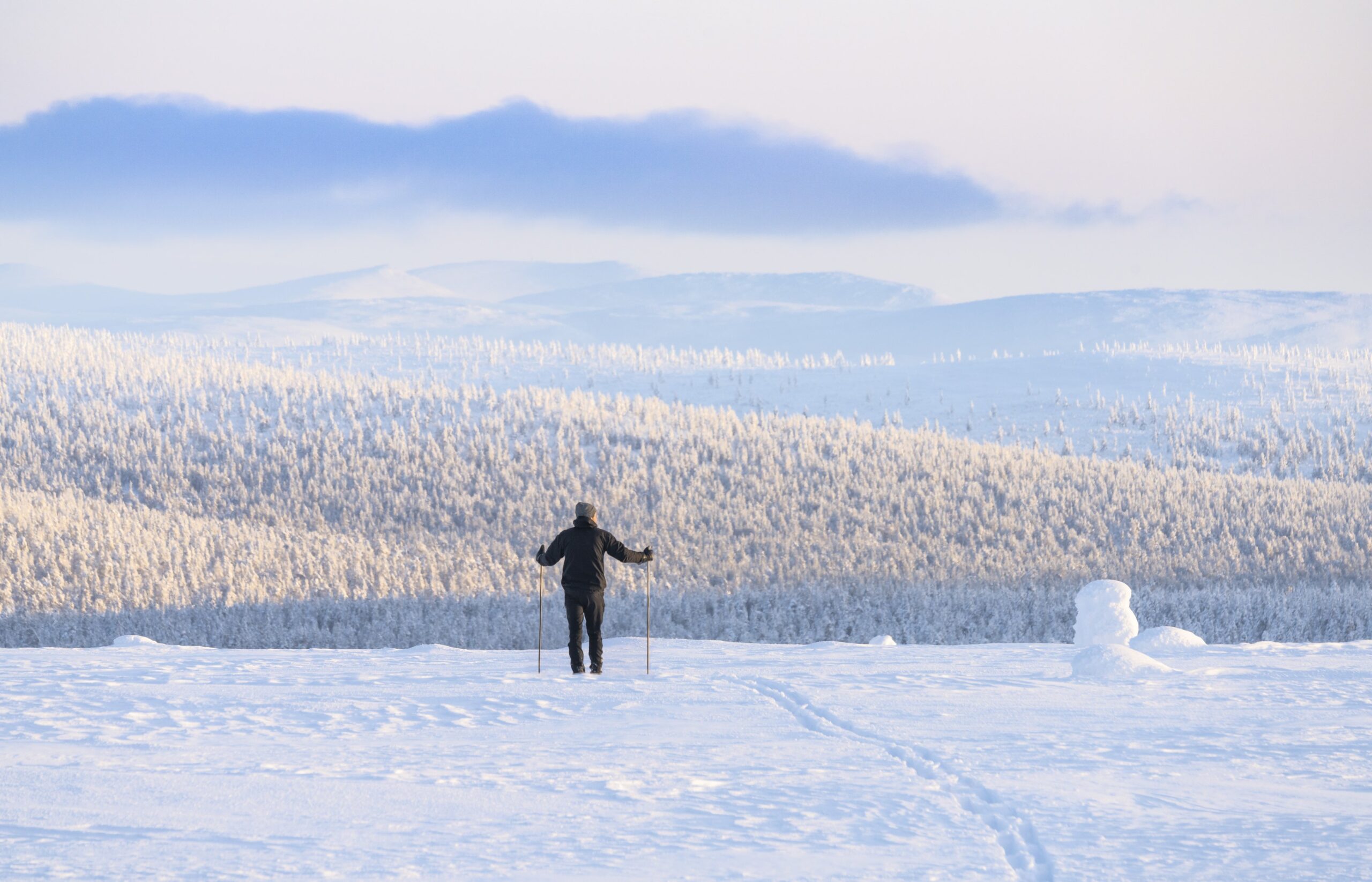 Henkilö, jolla on hiihtosauvat, seisoo lumisella kukkulalla ja katsoo lumen peittämiä puita ja kaukaisia vuoria, joita peittää vaalea, pilvinen taivas.