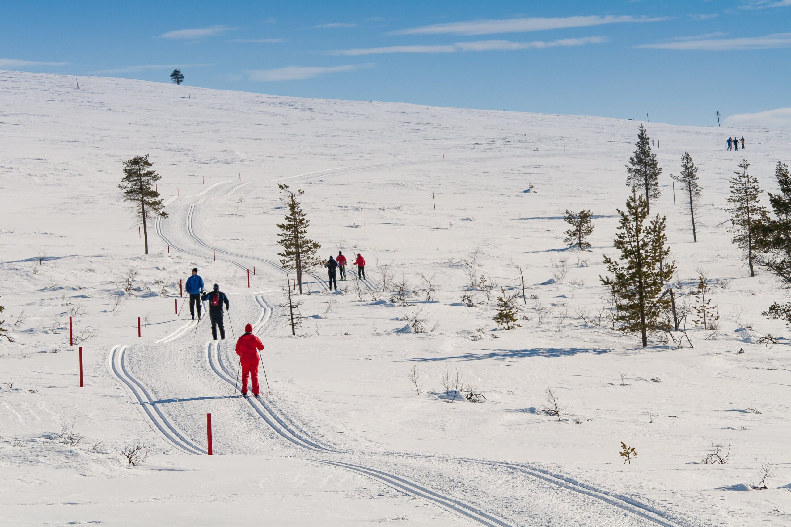 Ihmisiä hiihtämässä lumisella ladulla laajassa, avoimessa talvimaisemassa, jossa on hajanaisia puita sinisen taivaan alla. Useita hiihtäjiä näkyy eri etäisyyksillä loivassa maastossa.