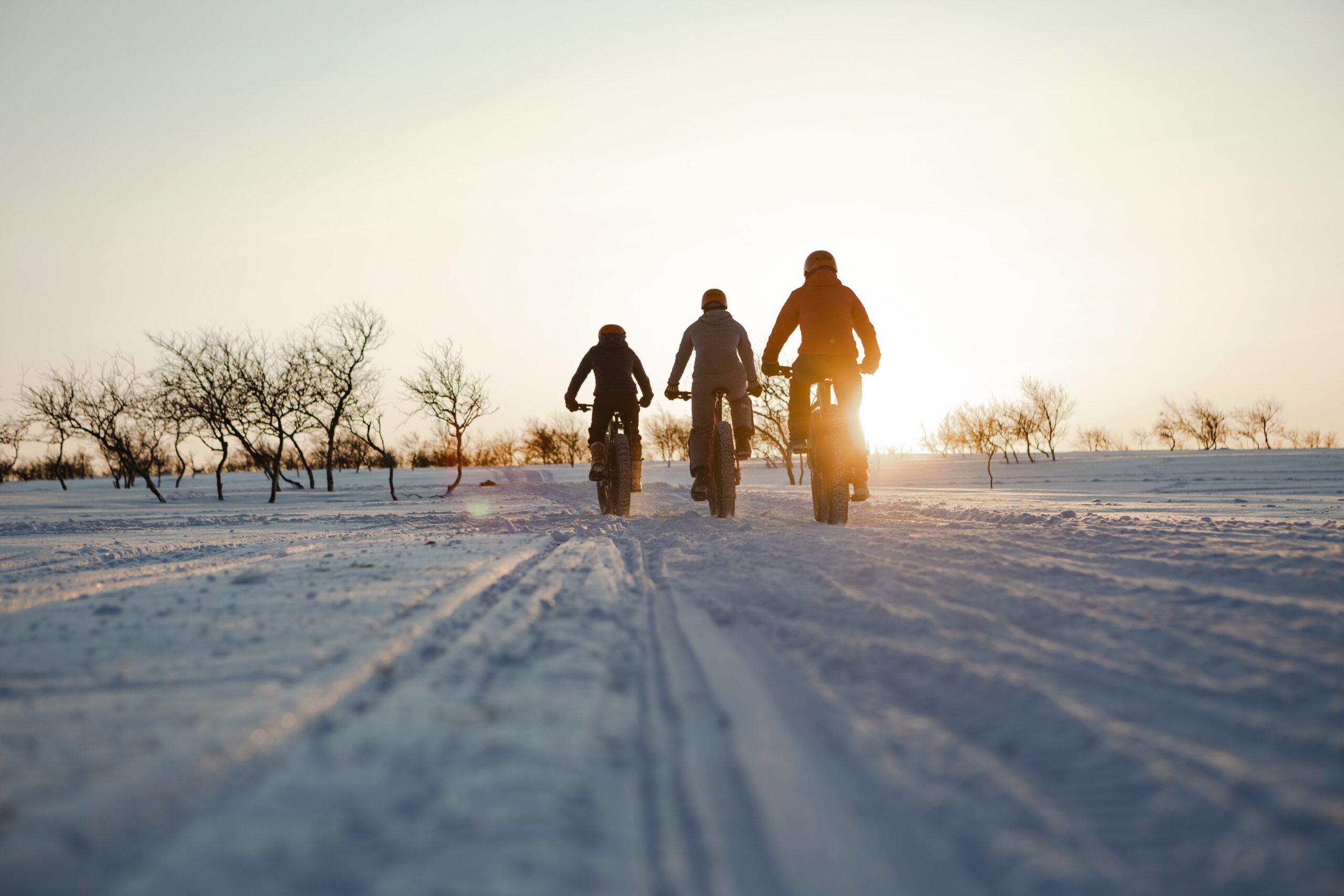 Drei Personen fahren mit Fat-Tire-Bikes durch eine verschneite Landschaft bei Sonnenuntergang und hinterlassen Spuren im Schnee. Kahle Bäume sind in der Ferne unter einem klaren Himmel zu sehen.