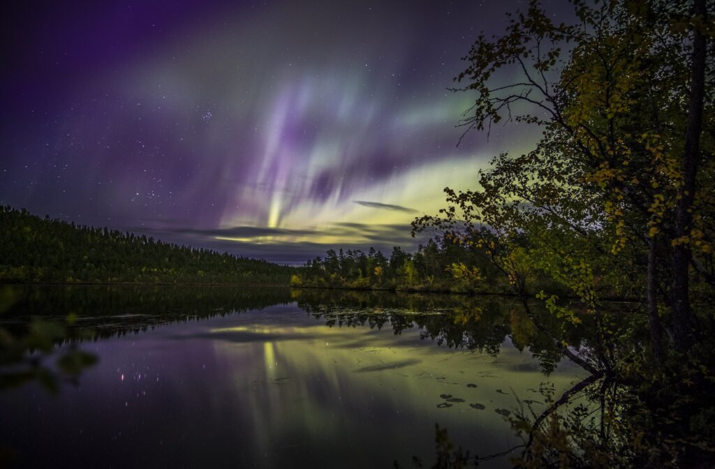 Värikkäät revontulet loistavat violetin ja vihreän sävyissä yötaivaalla Nellimin yläpuolella, ja ne heijastuvat puiden ja metsäisten kukkuloiden ympäröimälle rauhalliselle järvelle. Maisema tuntuu rauhalliselta ja luonnolliselta.