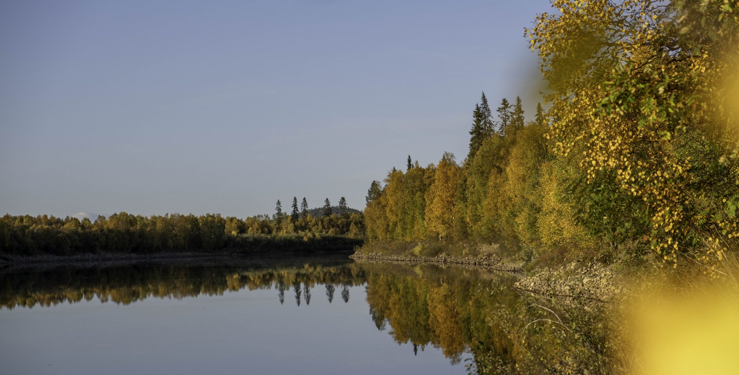 Rauhallinen joki Ivalossa, jota reunustavat keltaisen ja oranssin sävyiset syyslehdet, jotka heijastuvat selvästi veteen kirkkaan sinisen taivaan alla.
