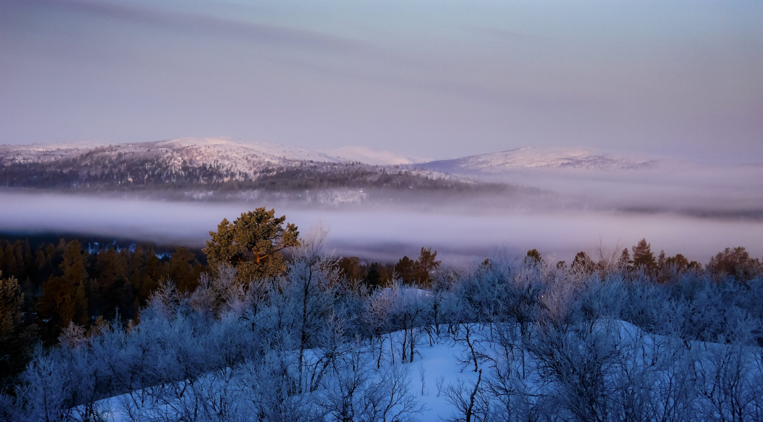 Lumen peittämät kukkulat ja huurteiset puut etualalla, metsän yläpuolella leijuu tiheä sumukerros, ja kaukaiset vuoret näkyvät pehmeän, violetin sävyisen taivaan alla aamu- tai iltahämärässä.