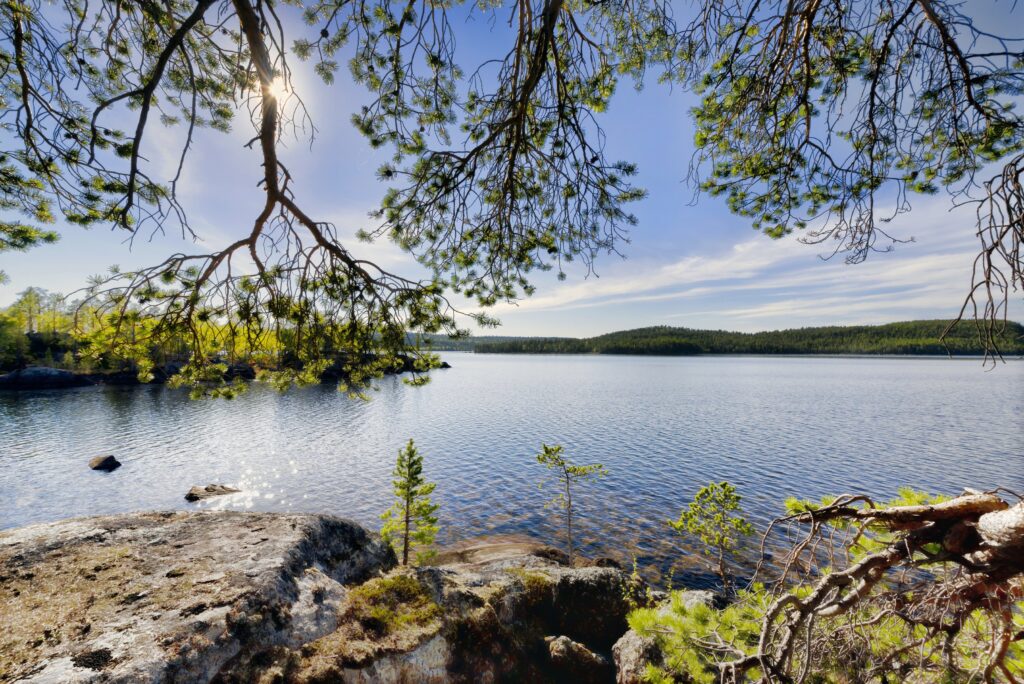 Rauhallinen järvi kallioiden ja ikivihreiden puiden ympäröimänä, auringonvalo paistaa männyn oksista etualalla ja kirkkaan sininen taivas yläpuolella.