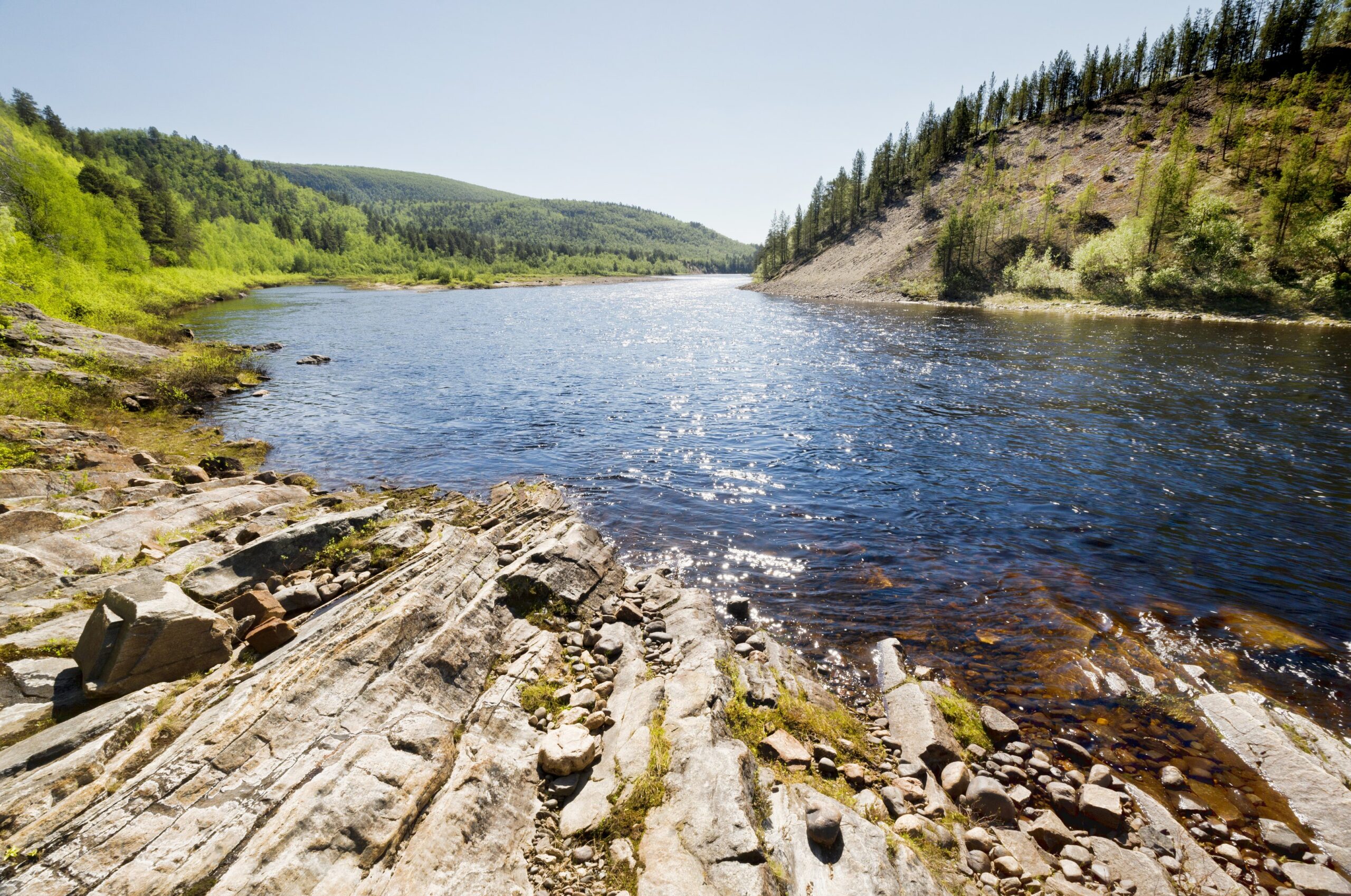 Ein Fluss, der durch eine üppige, grüne Waldlandschaft mit felsigen Ufern unter einem klaren, blauen Himmel fließt, wobei das Sonnenlicht auf der Wasseroberfläche glitzert.