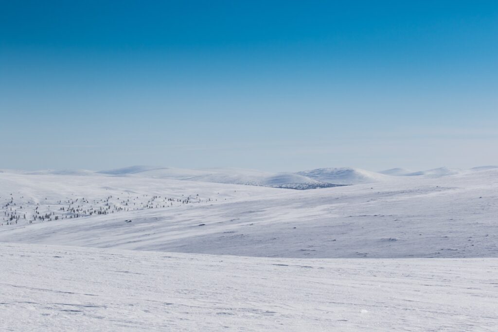 Un vaste paysage enneigé avec de douces collines ondulantes sous un ciel bleu clair. De petits arbres clairsemés parsèment les collines lointaines, soulignant l'étendue de la scène hivernale.
