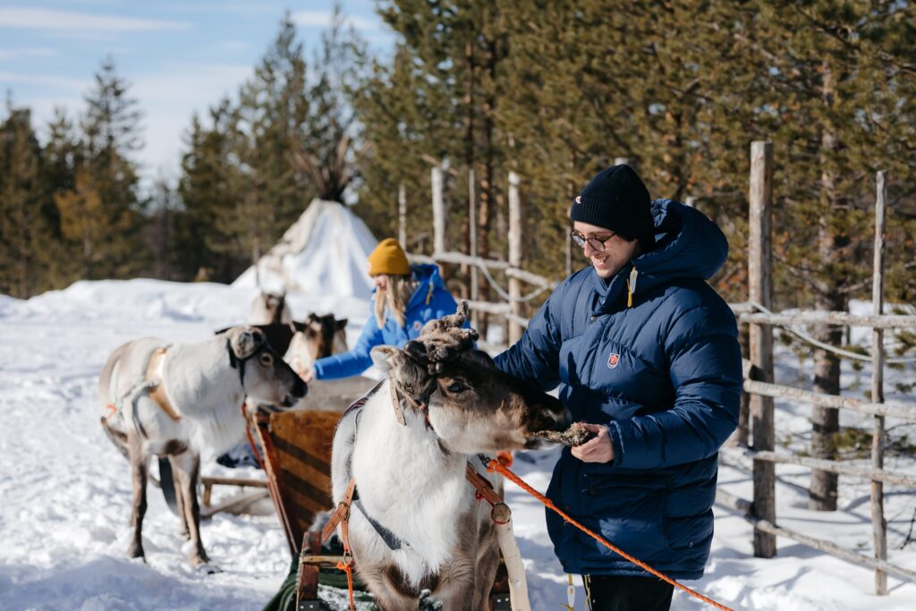 Kaksi talvivaatteisiin pukeutunutta ihmistä on vuorovaikutuksessa puukelkkaa vetävän poron kanssa lumisessa ulkoilmassa, taustalla puita ja puuaita.