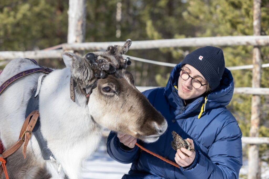 Siniseen takkiin ja mustaan hattuun pukeutunut henkilö ruokkii poroa lumisessa ulkotarhassa, jonka taustalla on puuaita ja puita.