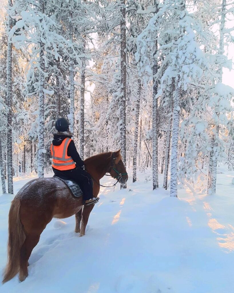 A person wearing a helmet and an orange safety vest rides a brown horse through a snowy forest, surrounded by tall trees covered in snow under soft sunlight.
