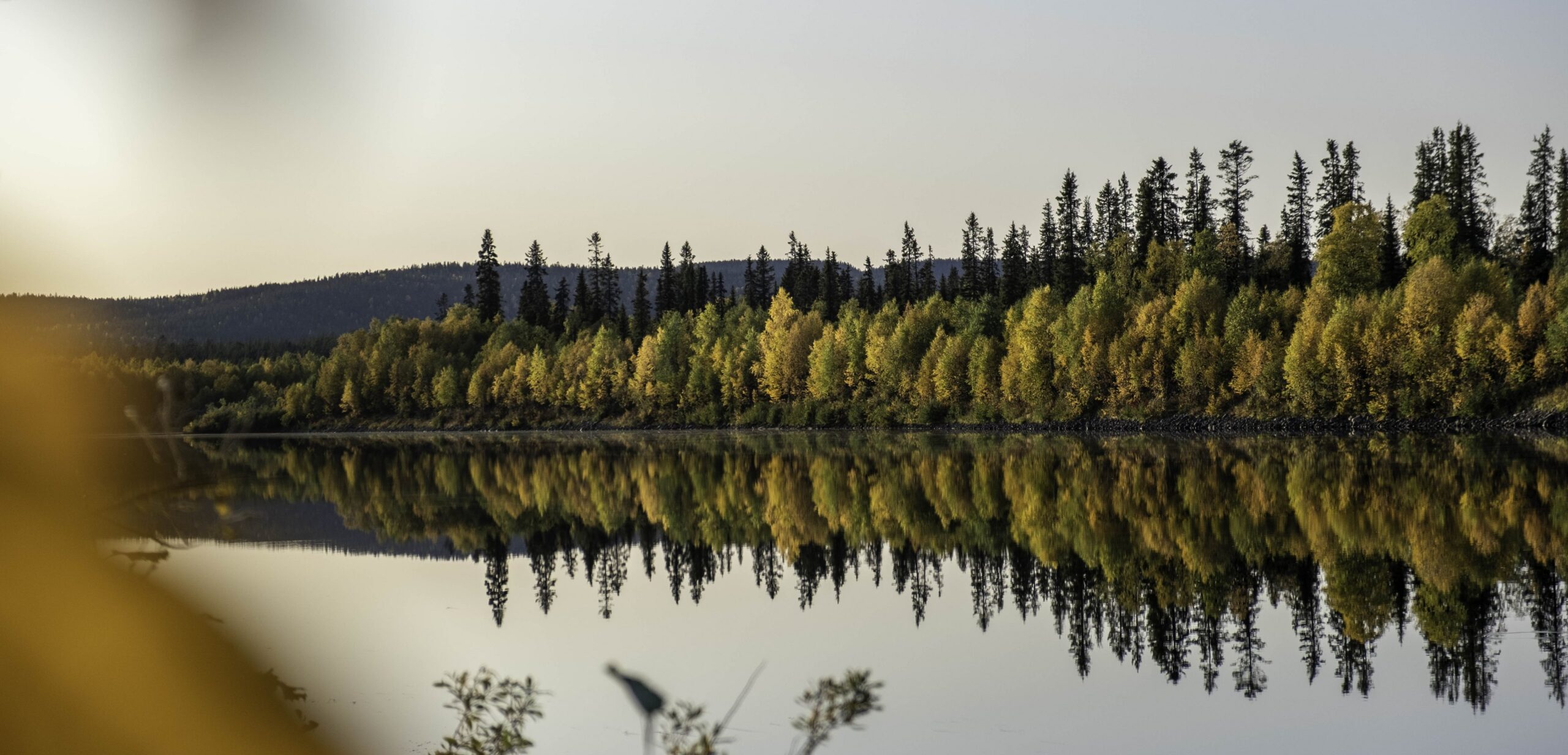 Rauhallinen järvi heijastaa puiden metsää, jossa on vihreitä ja keltaisia syyslehtiä kirkkaalla taivaalla, ja taustalla näkyy kaukaisia kukkuloita.