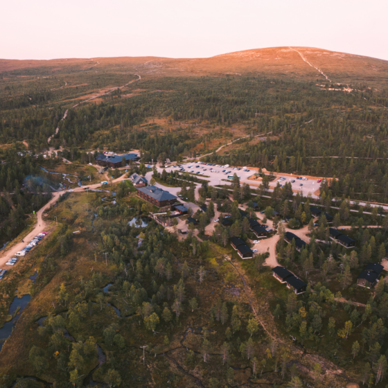 Aerial view of a forested area with scattered buildings, roads, and parked cars, surrounded by rolling hills under a soft pink sky at sunset or sunrise.