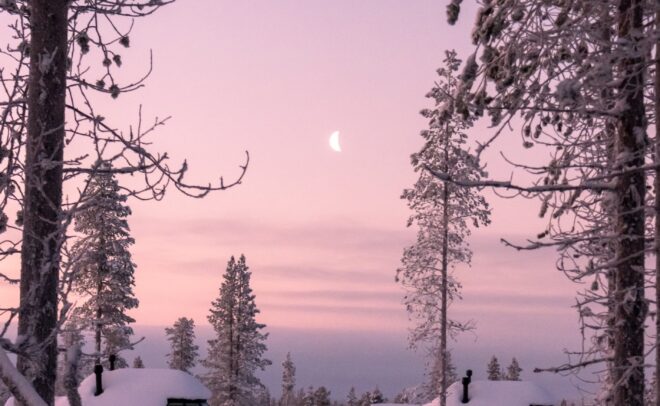 Lumen peittämät puumökit istuvat korkeiden, huurteisten mäntyjen keskellä vaaleanpunaisen ja violetin hämärän ja kuunsirpin peittämän taivaan alla. Rauhallinen talvikuvio viittaa kylmään, seesteiseen iltaan.