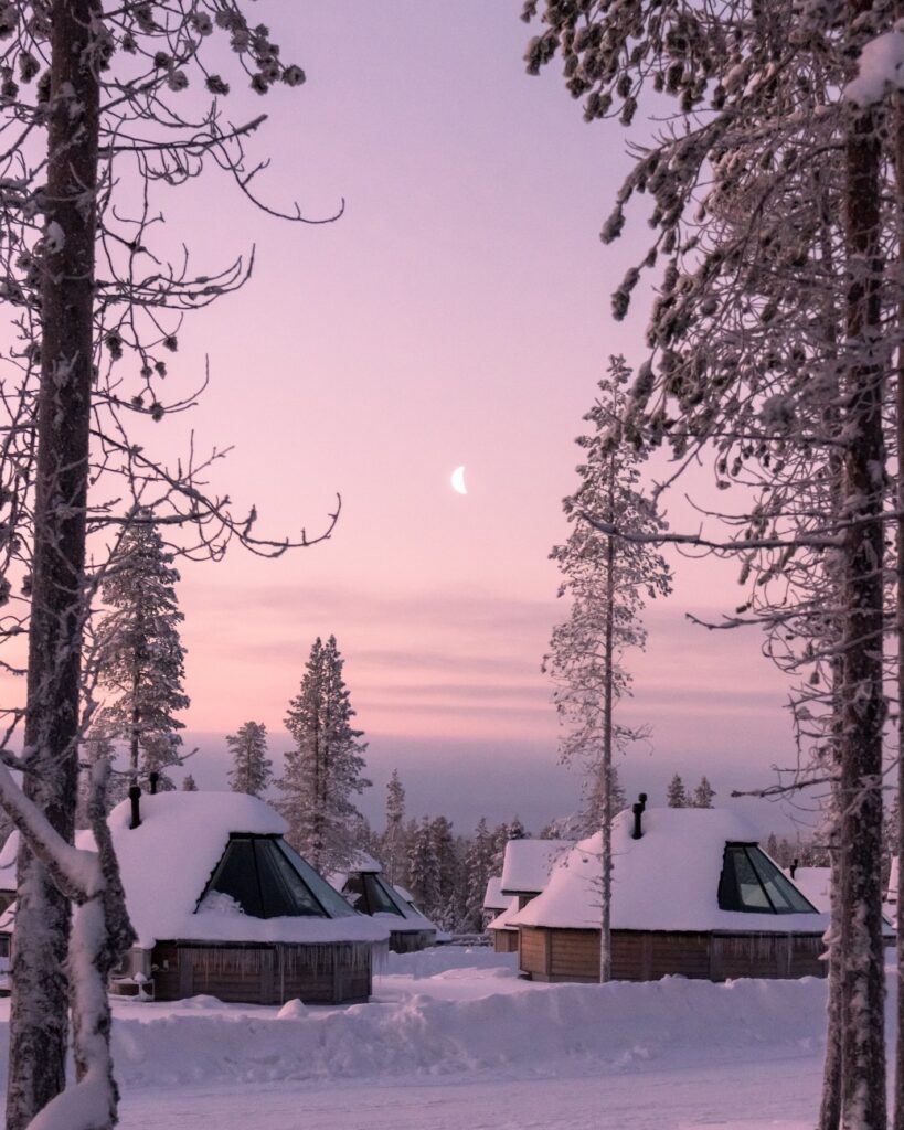 Lumen peittämät puumökit istuvat korkeiden, huurteisten mäntyjen keskellä vaaleanpunaisen ja violetin hämärän ja kuunsirpin peittämän taivaan alla. Rauhallinen talvikuvio viittaa kylmään, seesteiseen iltaan.