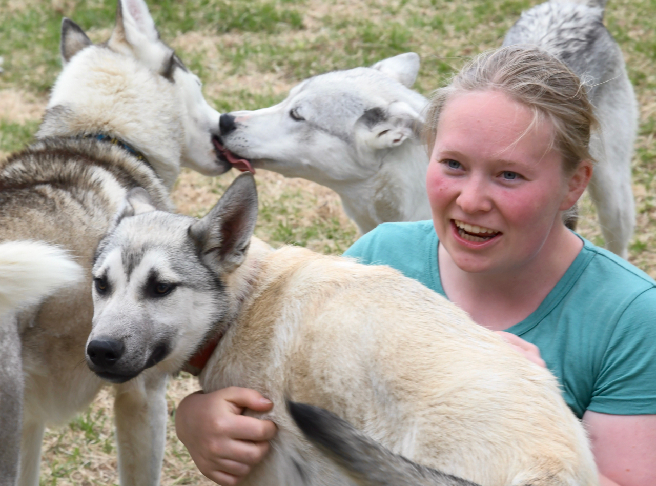 Hymyilevä vaaleahiuksinen henkilö halaa huskykoiraa, kun kaksi muuta huskya ovat vuorovaikutuksessa taustalla nurmikolla.