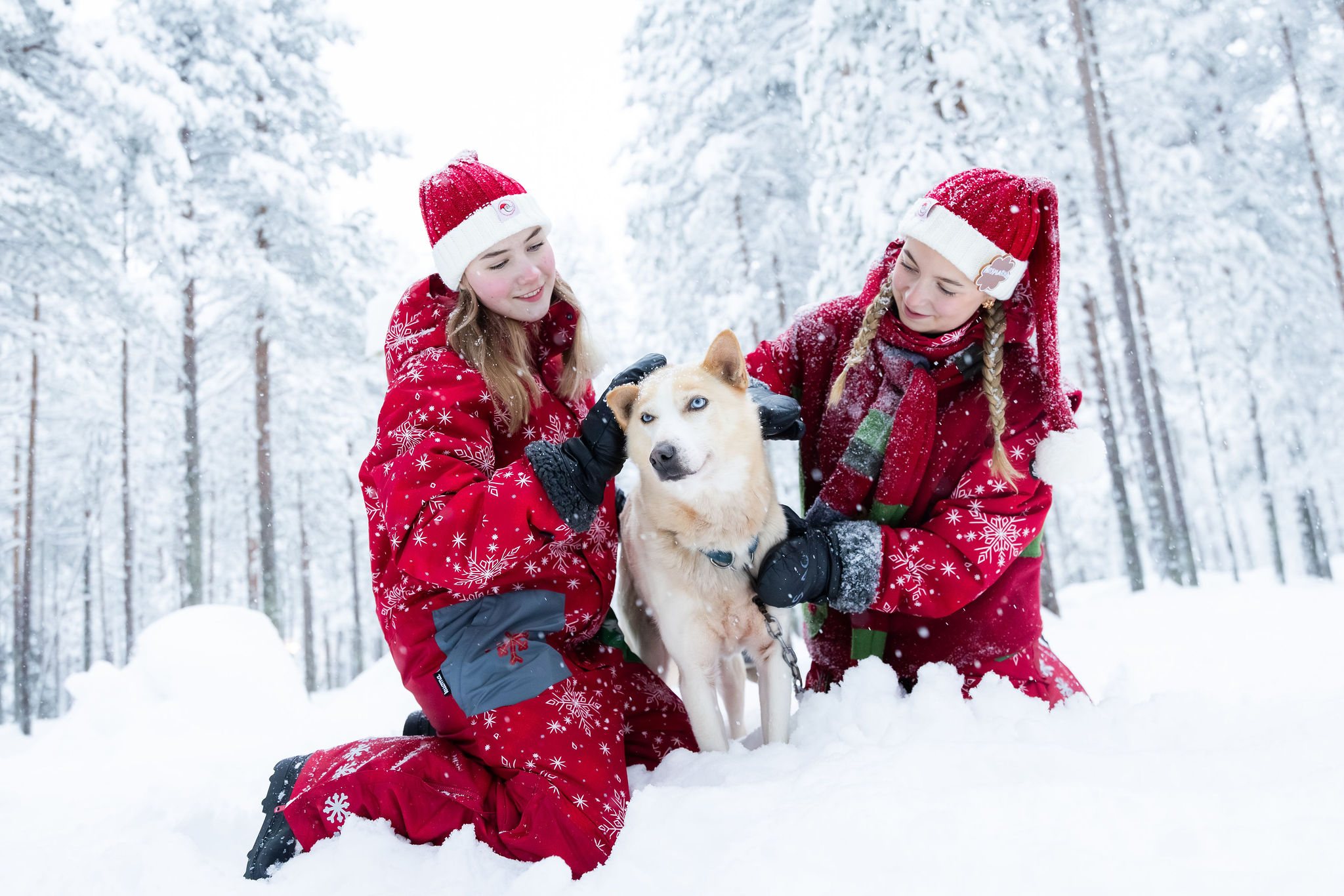Kaksi punaisiin jouluasuihin ja joulupukin hattuihin pukeutunutta ihmistä polvistuu lumessa, hymyilee ja silittää vaaleaa huskykoiraa lumisessa metsässä.