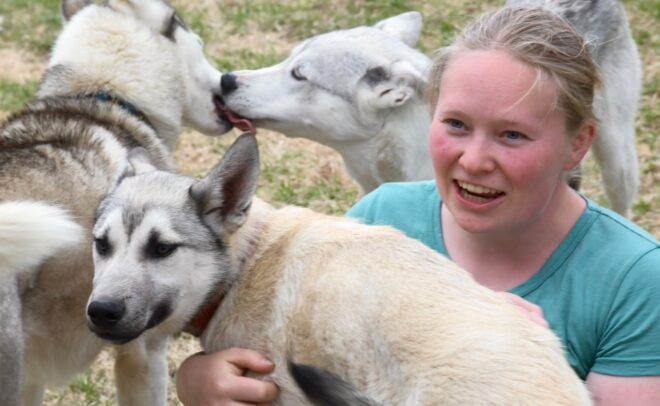 Hymyilevä henkilö, jolla on vaalea iho ja vaaleat hiukset, halaa husky-koiraa, kun kaksi muuta huskya halailee toisiaan taustalla nurmikolla.
