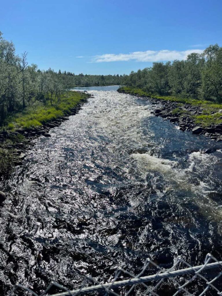 Joki virtaa nopeasti vihreiden, puiden reunustamien rantojen välissä kirkkaansinisen taivaan alla. Auringonvalo heijastuu vedestä ja luo hohtavan vaikutelman. Joen rannoilla ja vedessä näkyy kiviä.