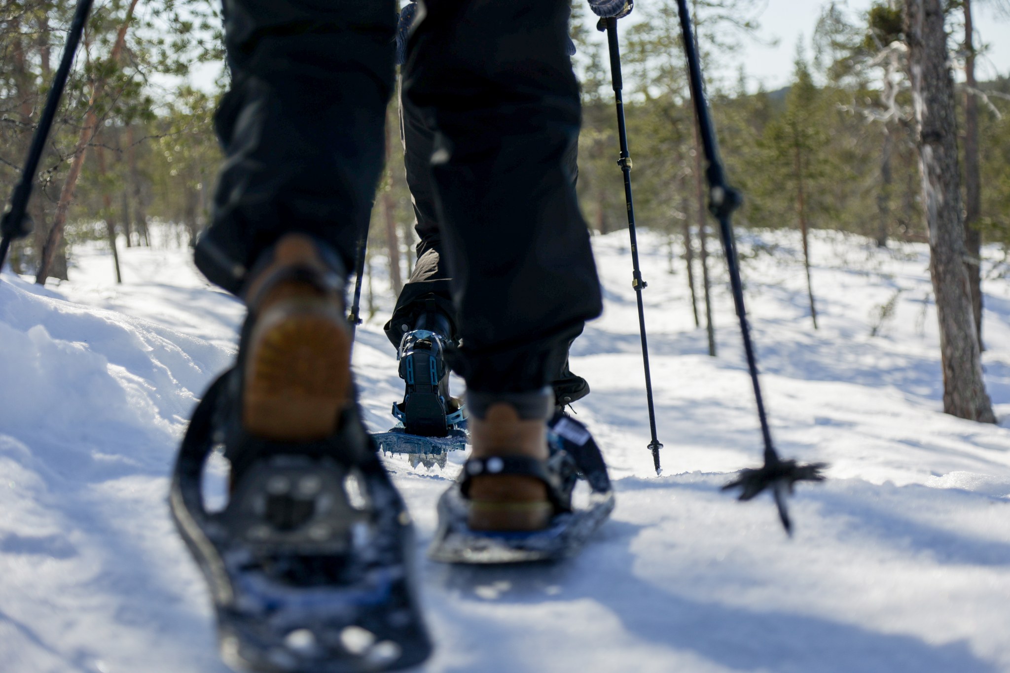 Nahaufnahme von zwei Personen, die Wintererlebnisse genießen und mit Schneeschuhen durch einen verschneiten Wald wandern, von hinten gesehen in Bodennähe. Die Sonne scheint und die Bäume sind im Hintergrund verstreut.