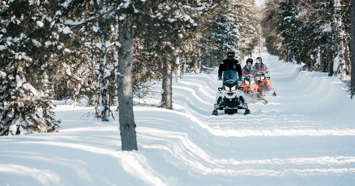 Kolme ihmistä ajaa moottorikelkalla lumipeitteistä polkua pitkin mäntymetsässä, jossa auringonvalo suodattuu oksien läpi ja lumi peittää maan.
