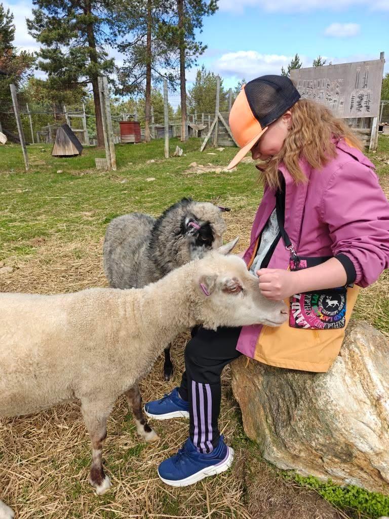 Tyttö, jolla on vaaleanpunainen takki ja oranssi lippis, istuu kalliolla ja silittää valkoista lammasta. Heidän vieressään seisoo tummempi lammas. Kohtaus on ulkona vihreällä nurmikolla, ja taustalla on puita ja aidattu alue.