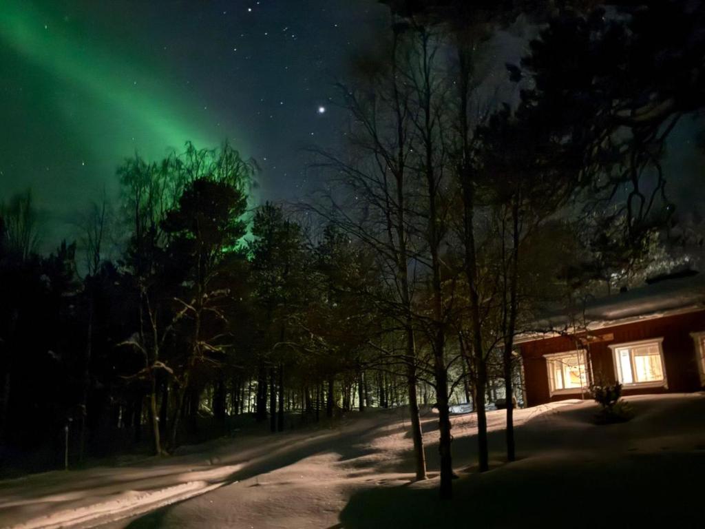 Viihtyisä talo, jossa on lämpimästi valaistut ikkunat, sijaitsee lumisen polun varrella, puiden ympäröimänä ja vihreiden revontulien valaiseman tähtitaivaan alla.