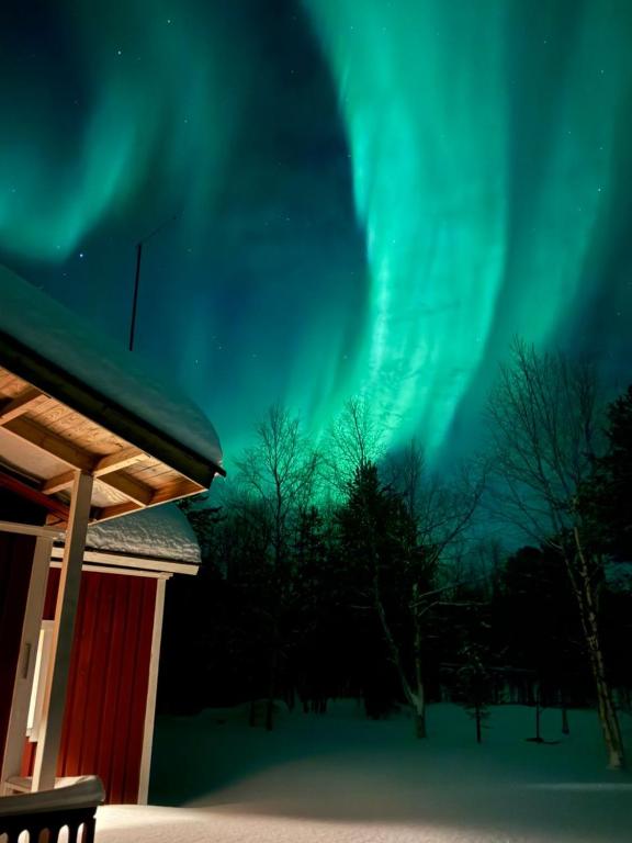 Revontulet loistavat kirkkaanvihreinä raitoina tummalla yötaivaalla lumisen maiseman yllä, jonka etualalla on lehdettömiä puita ja osa punaisesta puutalosta.