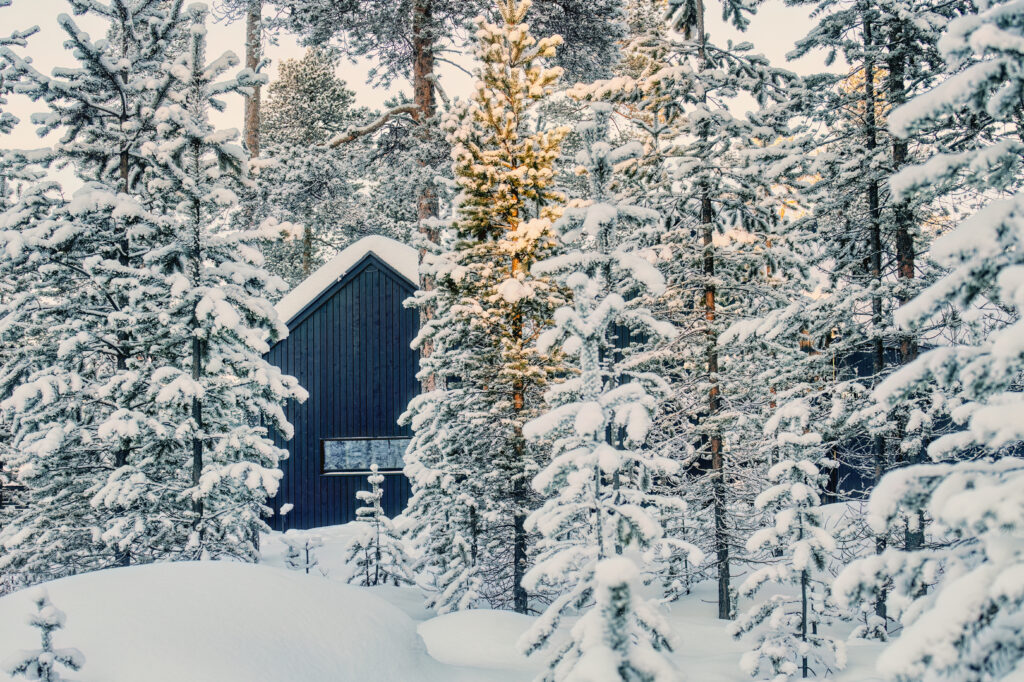 Tummansininen mökki sijaitsee lumipeitteisten mäntyjen keskellä talvisessa metsässä, ja pehmeä auringonvalo korostaa lumisia oksia ja rauhallista maisemaa.