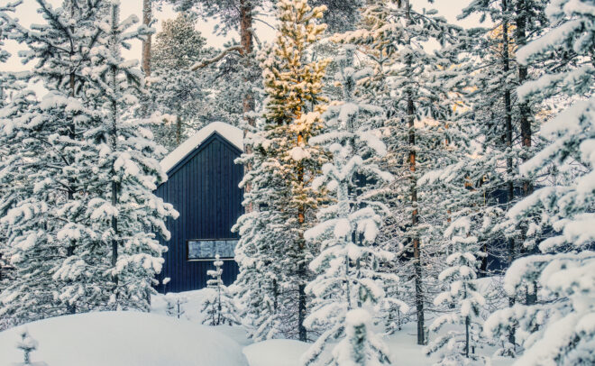 Tummansininen mökki sijaitsee lumipeitteisten mäntyjen keskellä talvisessa metsässä, ja pehmeä auringonvalo korostaa lumisia oksia ja rauhallista maisemaa.