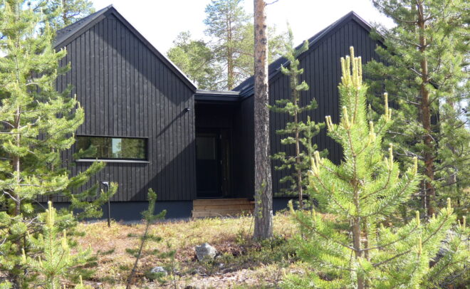 Moderni musta puumökki, jossa on kaksi harjakattoa, seisoo metsän vihreiden mäntyjen keskellä, ja auringonvalo korostaa rakennusta ja sitä ympäröivää luonnonmaisemaa.