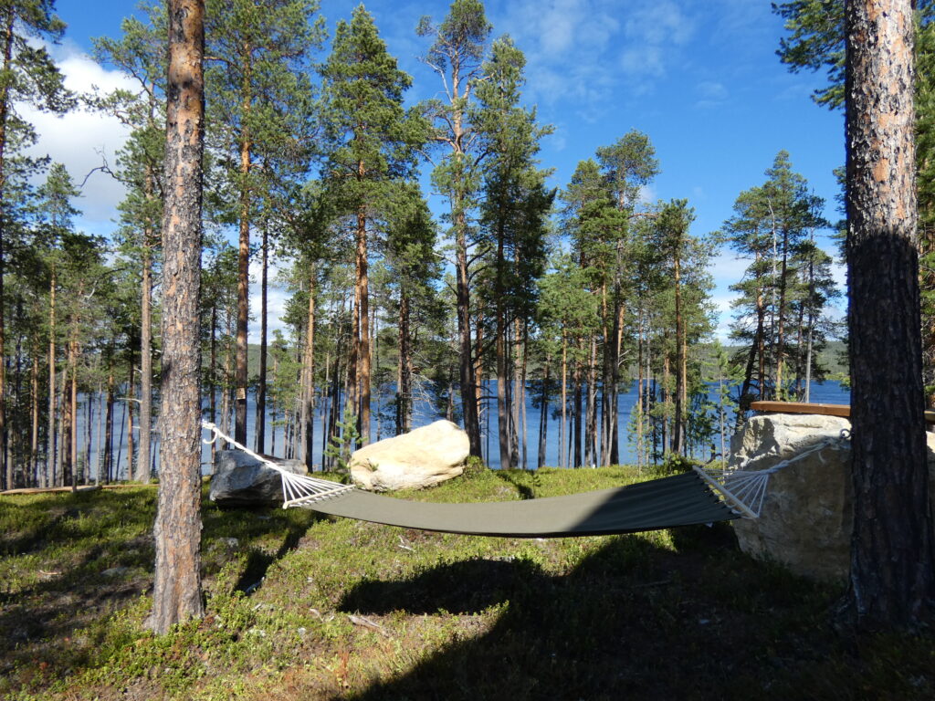 Mäntymetsässä kahden puun väliin on kiinnitetty vihreä riippumatto, ja puiden välistä näkyy järvi sinisen taivaan alla, jossa on hajanaisia pilviä. Lähellä, ruohikkoisella maalla, on suuria kiviä.