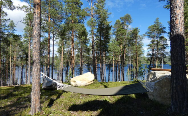 Mäntymetsässä kahden puun väliin on kiinnitetty vihreä riippumatto, ja puiden välistä näkyy järvi sinisen taivaan alla, jossa on hajanaisia pilviä. Lähellä, ruohikkoisella maalla, on suuria kiviä.