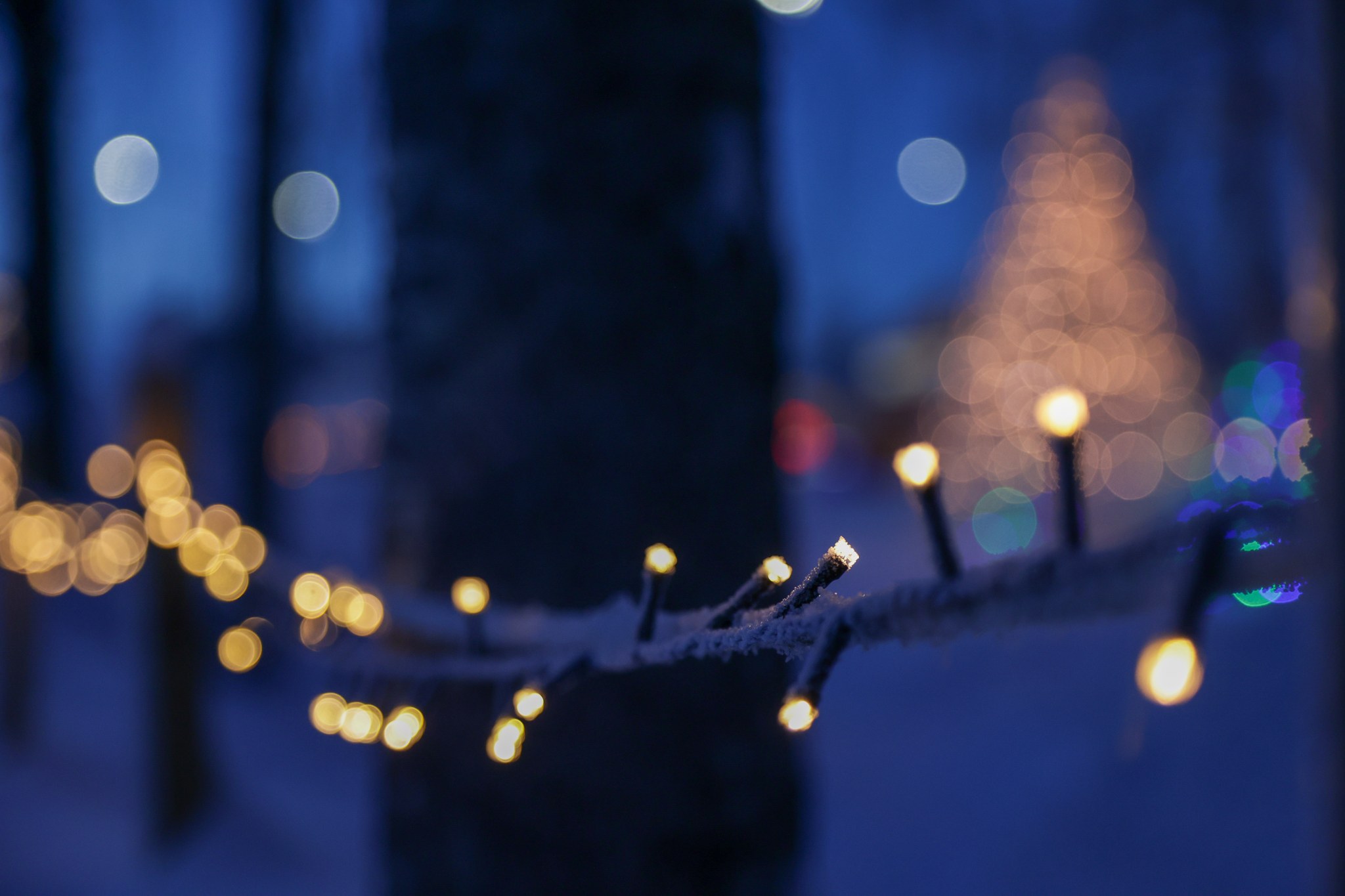 Lähikuva pienistä, lämpimän valkoisista valosarjoista, jotka on kiedottu lumiseen oksaan hämärässä; taustalla näkyy pehmeästi hohtava puu ja sumeita bokeh-valoja – kuva vangitsee esiintymispalvelut Pohjois-Lapissa vallitsevan taianomaisen tunnelman.