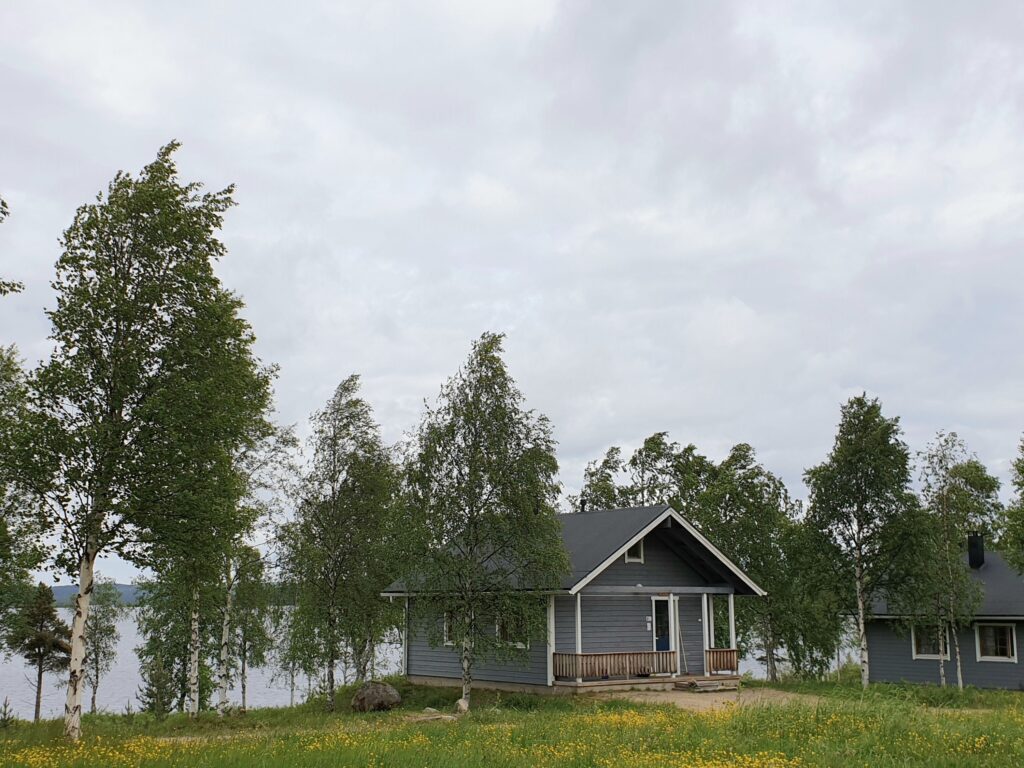 Pieni harmaa puumökki, jossa on kuisti, sijaitsee koivujen keskellä järven rannalla. Edessä olevalla nurmikolla on keltaisia kukkia, ja taivas on pilvinen. Oikealla näkyy osittain toinen mökki.