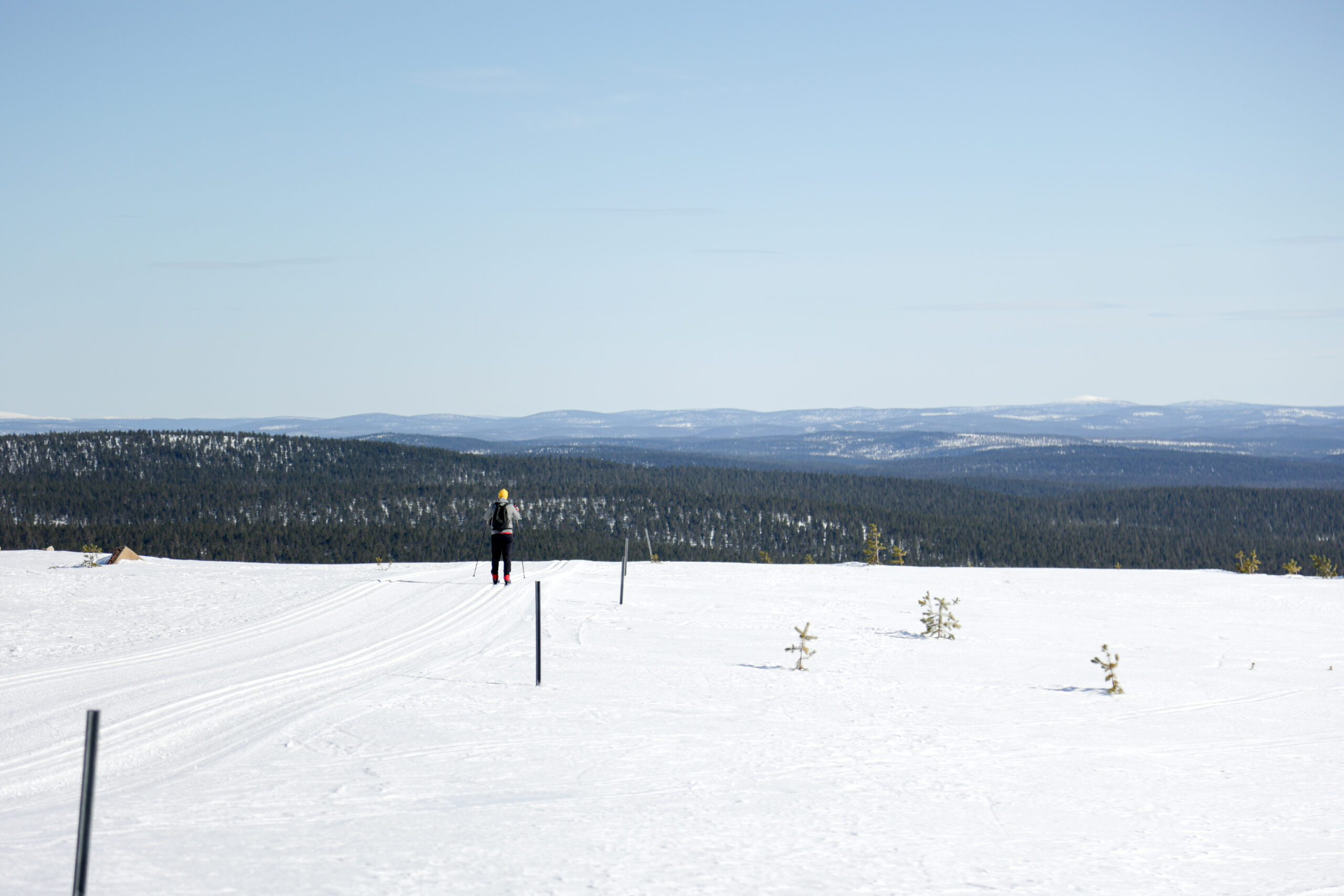 Henkilö, joka hiihtää yksin lumisessa maisemassa, jonka taustalla näkyy kaukana metsän peittämiä kukkuloita kirkkaan sinisen taivaan alla – aivan kuten ne rauhalliset näkymät, joita Saariselän verkkokamera usein tallentaa.
