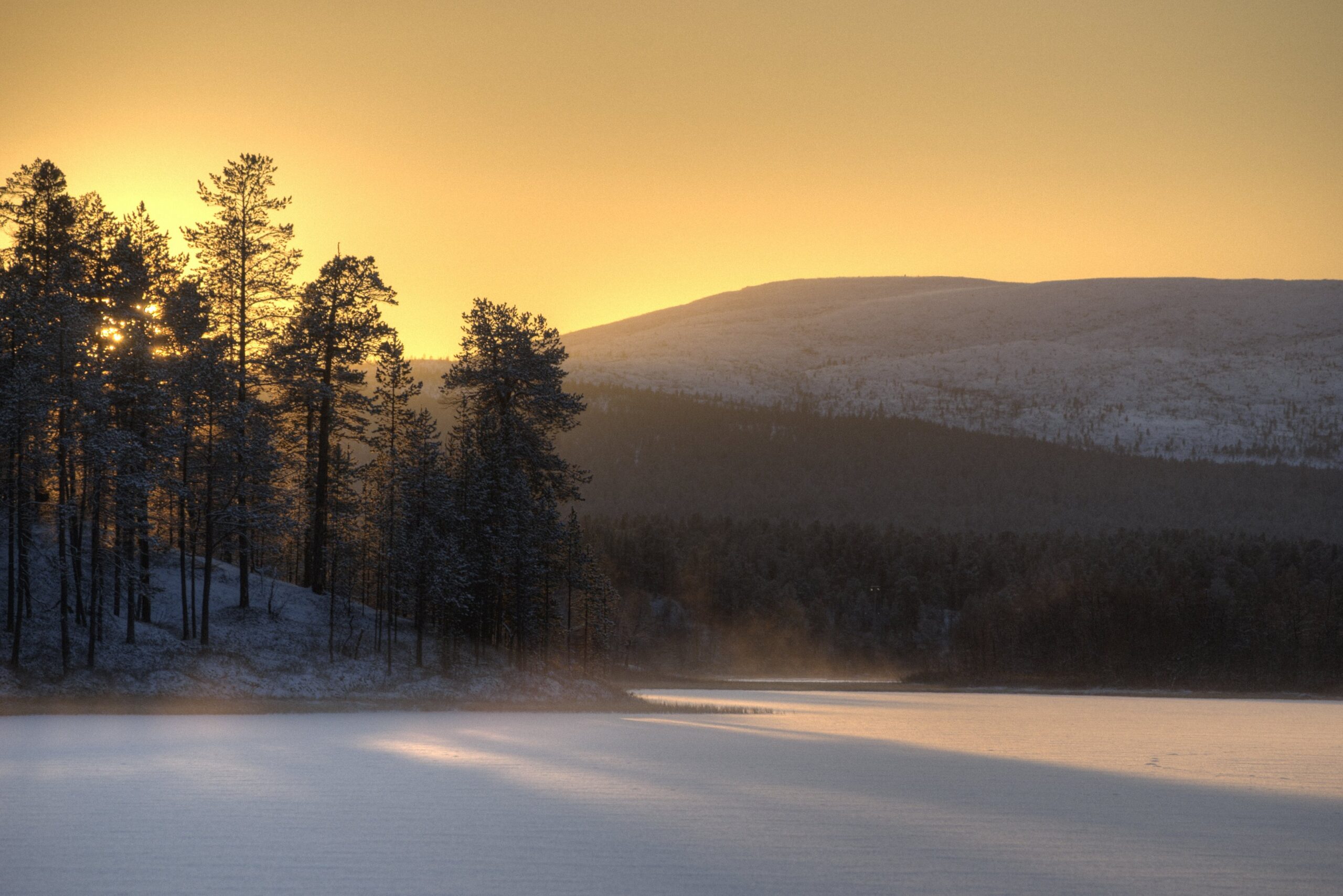 Sunrise over a snowy landscape in Lemmenjoki National Park, with a frozen lake, trees in the foreground, and a mountain in the background, all bathed in warm golden light.