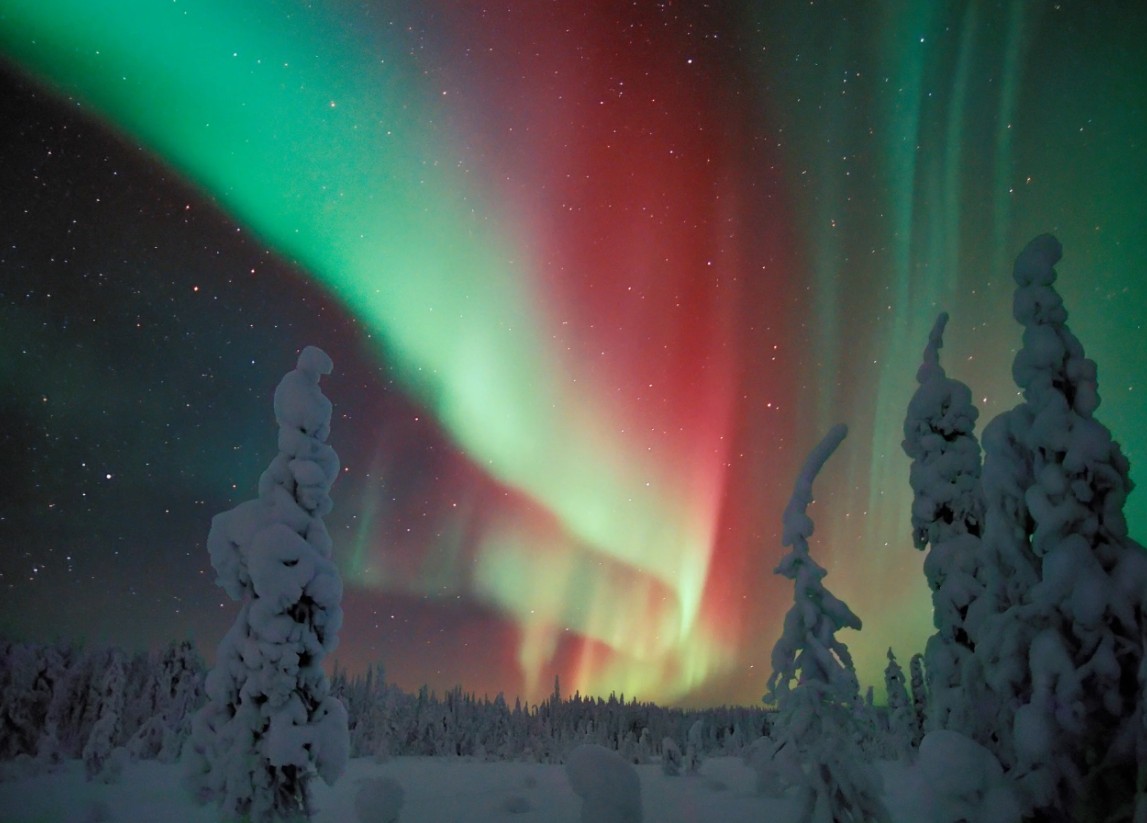 Yöllä vihreät ja punaiset revontulivalot loistavat kirkkaasti lumisen metsän yläpuolella, ja lumipeitteiset puut erottuvat värikkään, tähtitaivaan taustalla.