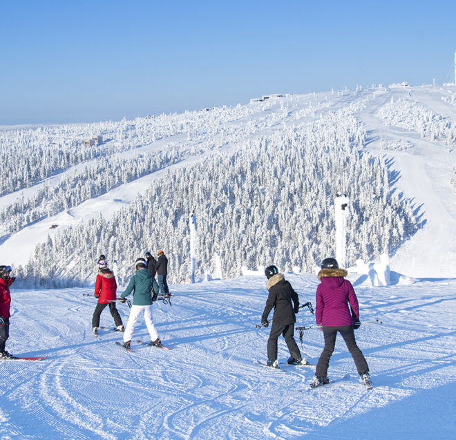 Useat hiihtäjät seisovat lumisella rinteellä ja katselevat edessään avautuvaa, huurteeseen peittynyttä laajaa metsää.